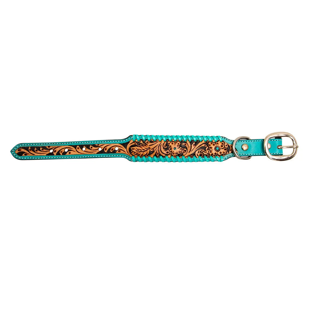 Ziggy Dog Collar