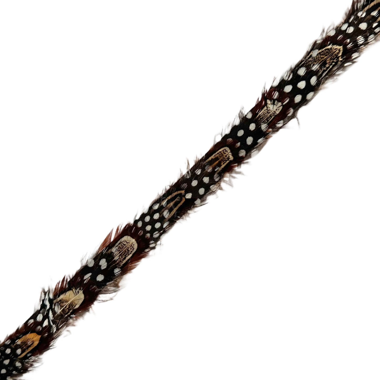 Rushton Feather Hat Band