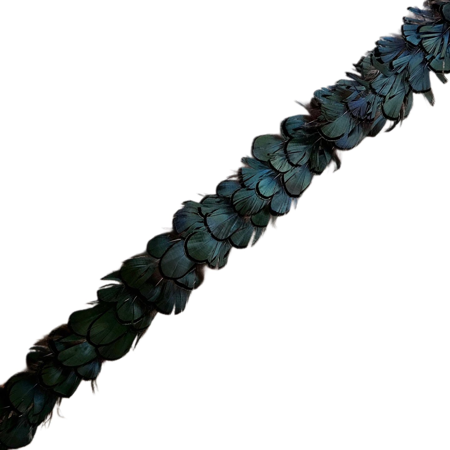 Rushton Feather Hat Band