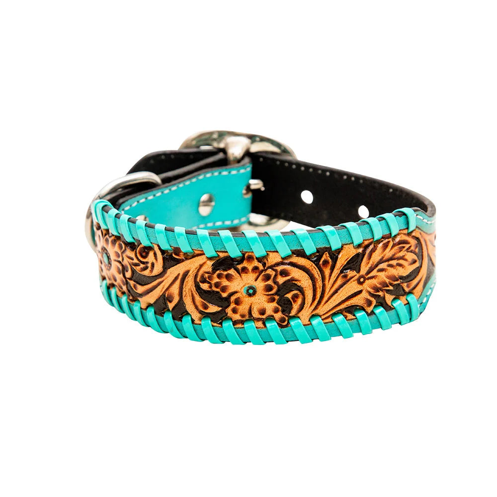 Ziggy Dog Collar