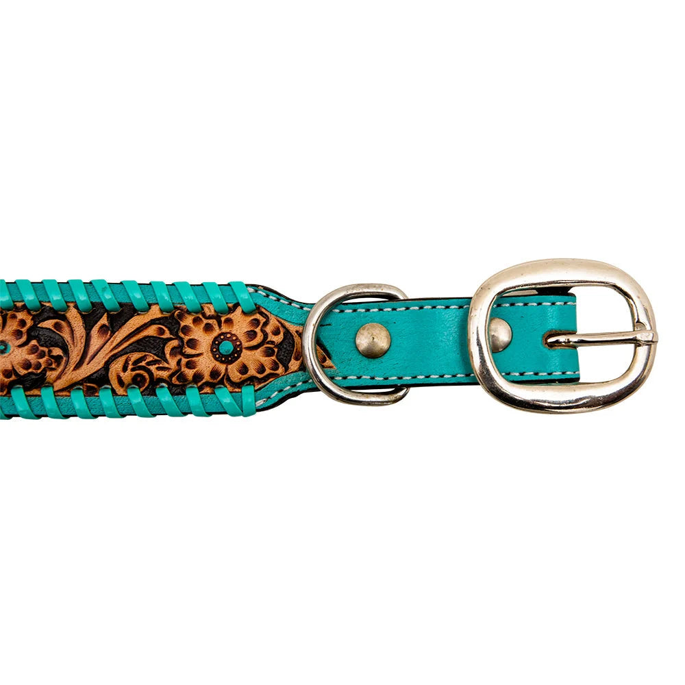Ziggy Dog Collar