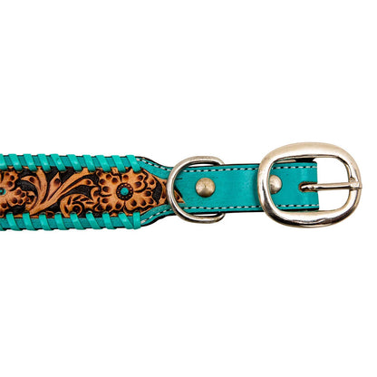 Ziggy Dog Collar