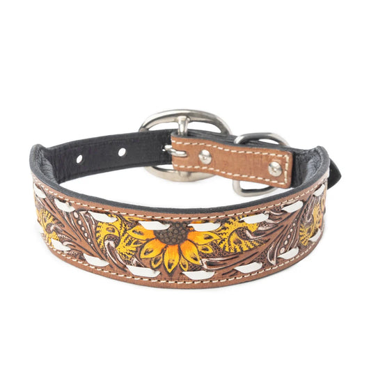 Bailey Dog Collar