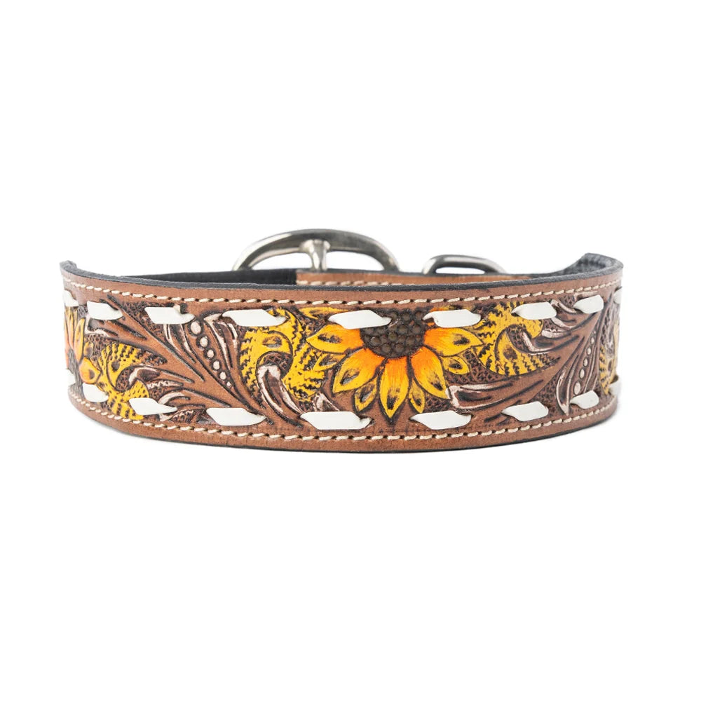 Bailey Dog Collar