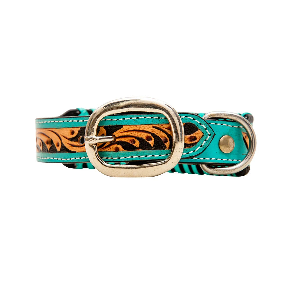 Ziggy Dog Collar