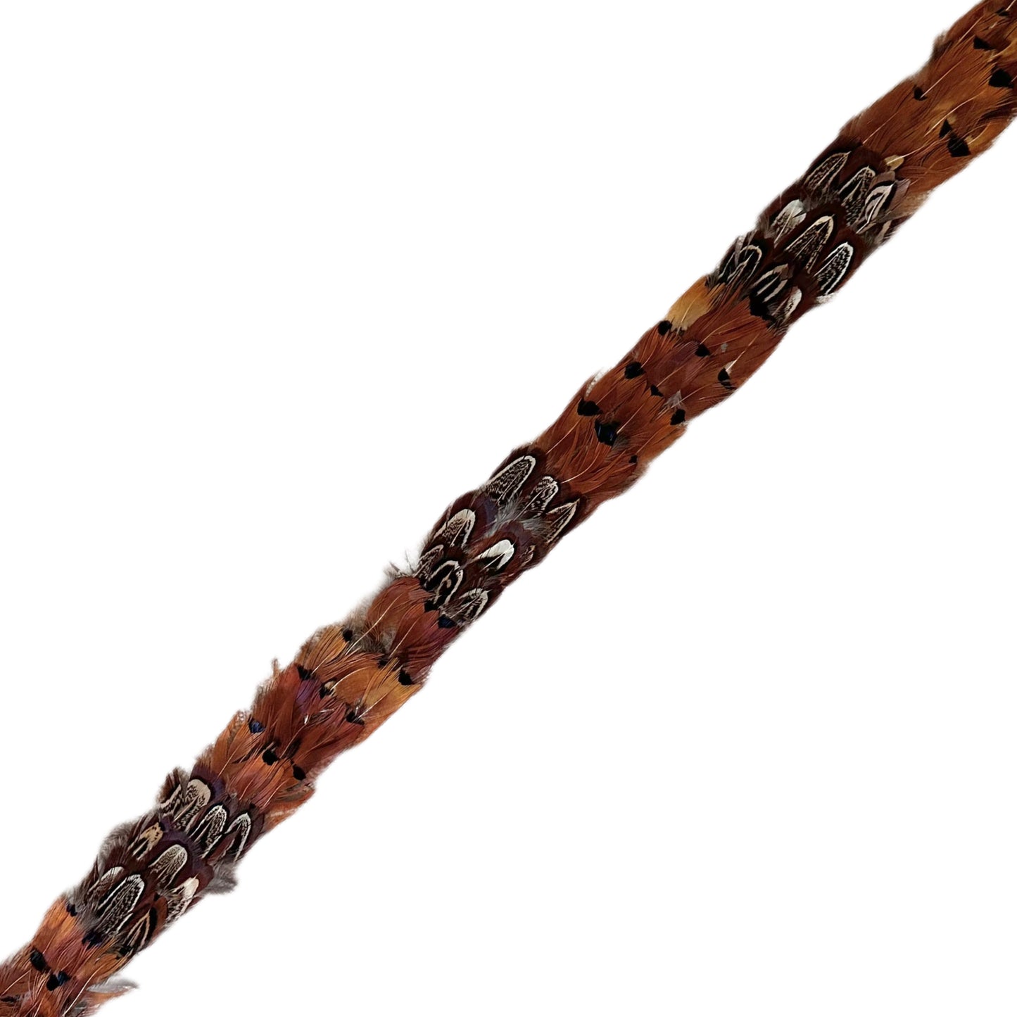 Rushton Feather Hat Band